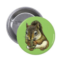 Squirrel Pins