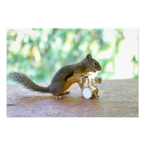 Squirrel Playing Drums