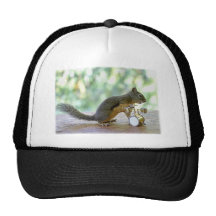 Squirrel Playing Drums Hat