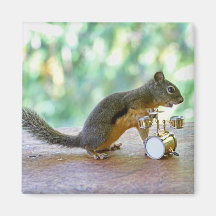 Squirrel Playing Drums Magnet