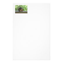 Squirrel Playing Electric Guitar Personalized Stationery