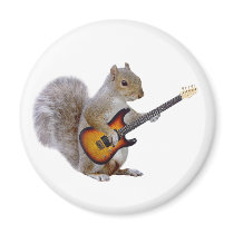 Squirrel Playing Guitar