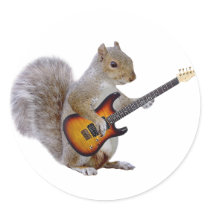 Squirrel Playing Guitar