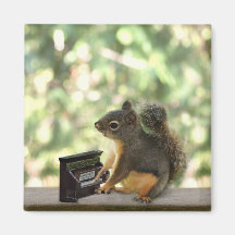 Squirrel Playing Piano Refrigerator Magnet