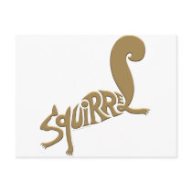 Squirrel Post Card