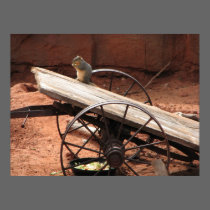 squirrel posters