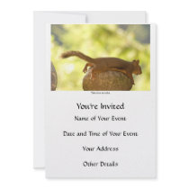 Squirrel Relaxing Custom Invite
