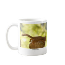 Squirrel Relaxing Mugs