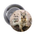 squirrel saying i love you buttons