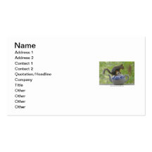 Squirrel Sitting on a Teapot Business Card