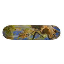Squirrel Skate Boards