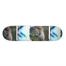 Squirrel Skateboard
