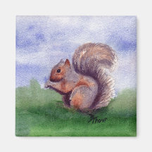 Squirrel Study Magnet