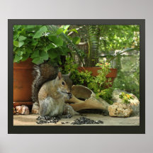 Squirrel Treats Canvas Print