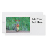 Squirrel Valentine Photo Greeting Card