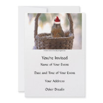 Squirrel Wearing Santa Hat Personalized Announcements