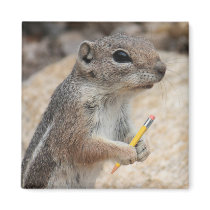 Squirrel With a Pencil Magnet
