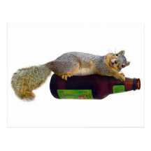 Squirrel with Empty Beer Bottle Post Card