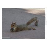 Squirrel with his nut greeting card