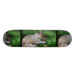 Squirrel with Nut Skateboard