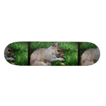 Squirrel with Nut Skateboard