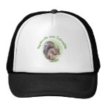 Squirrels are Loveable Hats