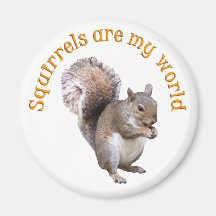Squirrels are my World Magnets