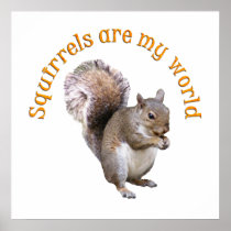 Squirrels are my World Poster
