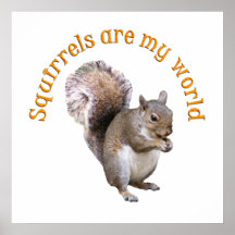 Squirrels are my World Poster