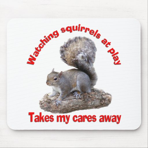 Squirrels at Play Mouse Pads