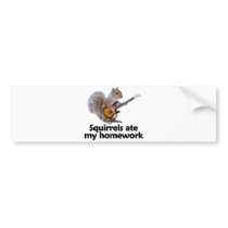 Squirrels ate my homework