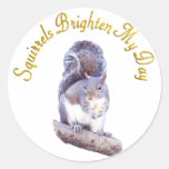 Squirrels Brighten My Day Round Sticker