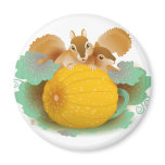 squirrels in the pumpkin patch magnets