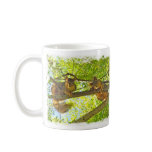 Squirrels peering - Mug
