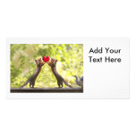 Squirrels with Heart photo cards