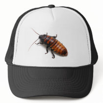 Squish the Hisser Hats
