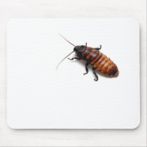 Squish the Hisser Mousepads