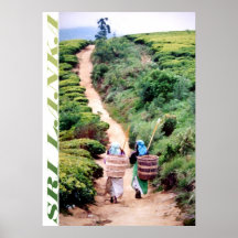 Sri Lanka Print