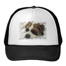 St Bernard Dog Baseball Hat