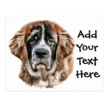 St Bernard Gifts Post Cards