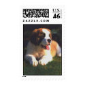 St. Bernard postage