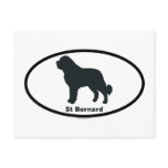 St Bernard Post Card