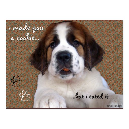 St Bernard Puppy Cookie Postcard