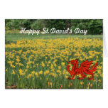 St. David's Day Daffodils Greeting Card