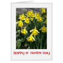 St David's Day Greeting Card