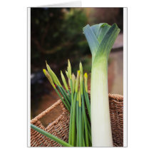 St David's Day Greeting Cards