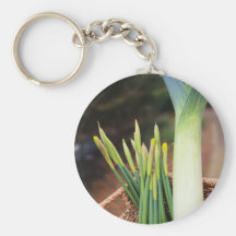 St David's Day Key Chains