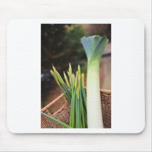 St David's Day Mousepad