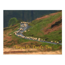 St. David's Day Postcard