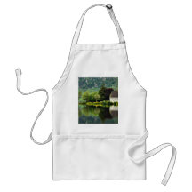 St. Finbarrs Oratory gouganebarra Aprons